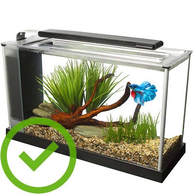 Bettas require approximately ten gallons of water