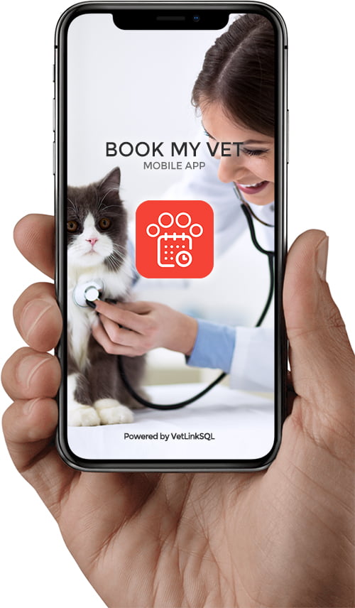 Book an appointment with the vet