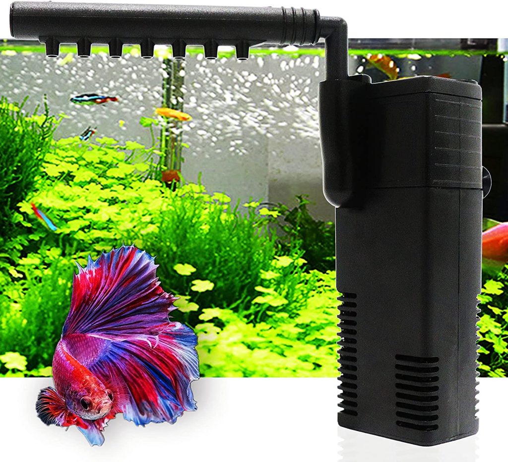 Filters are probably the most important equipment in a fish tank