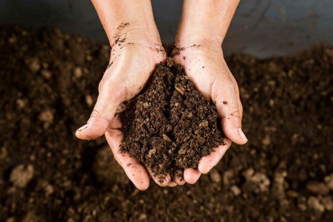 The use of peat moss is widely regarded as the most productive way