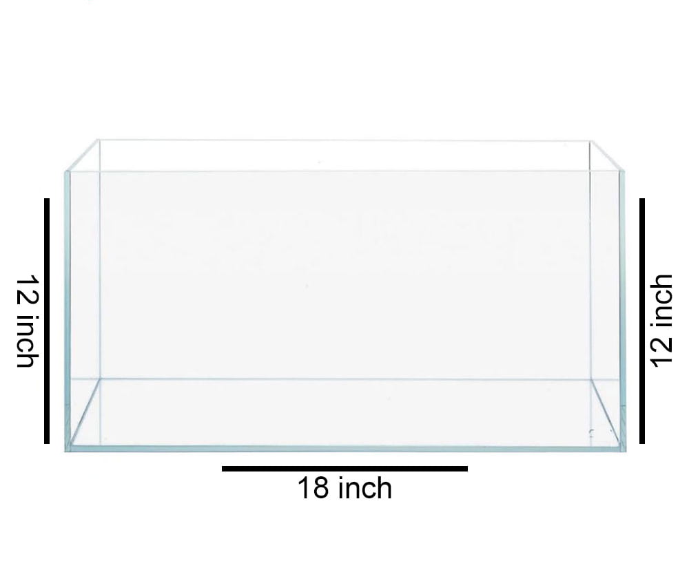 Panda Cory Catfish Breeding A Complete Guide For Success