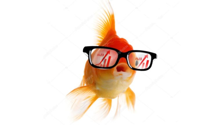 What Is The IQ Of A Goldfish? Let's See How Incredibly Smart They Really Are