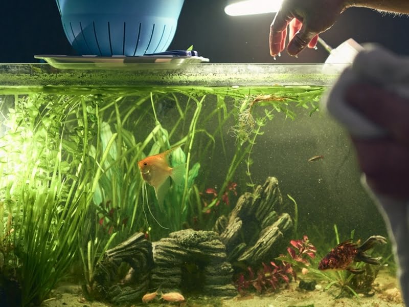 It is important to ensure water quality