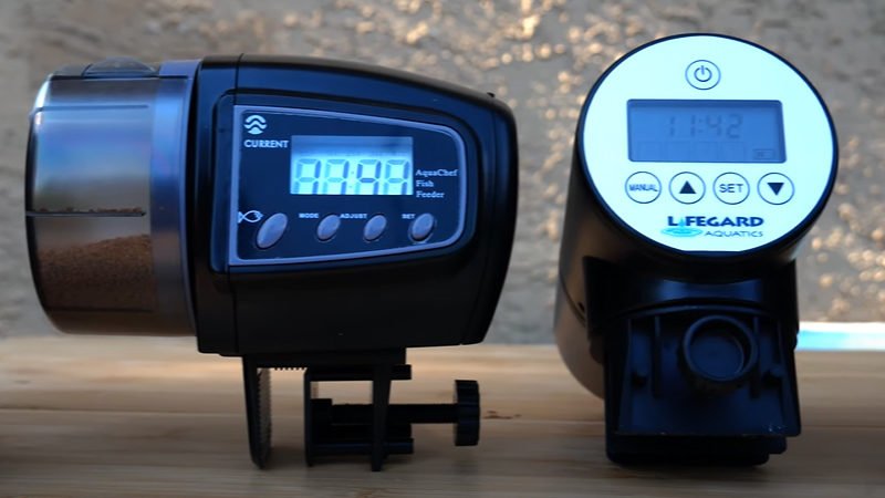 automatic fish feeder